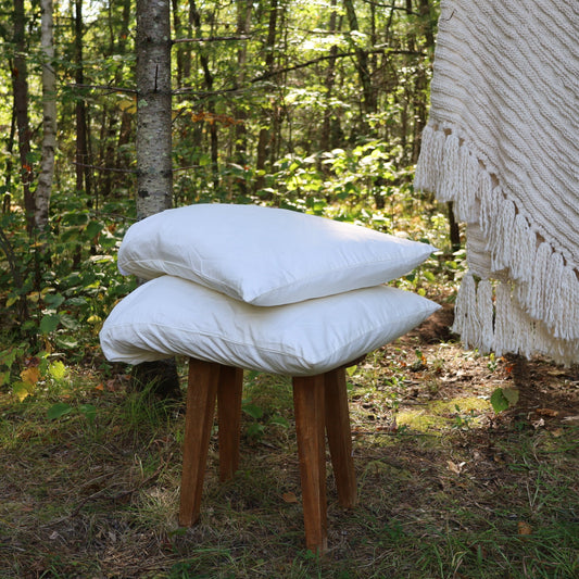 Two-Count Organic Pillow Case